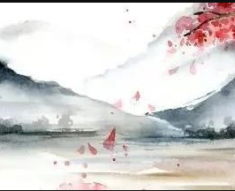 暂无图片