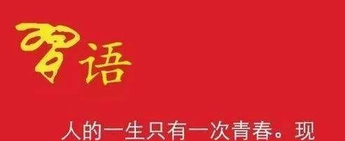暂无图片