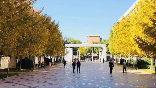 暂无图片
