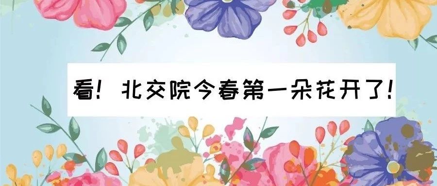 走～集合！我带你们去beat365官方网站看校花！