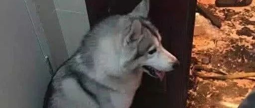 暂无图片