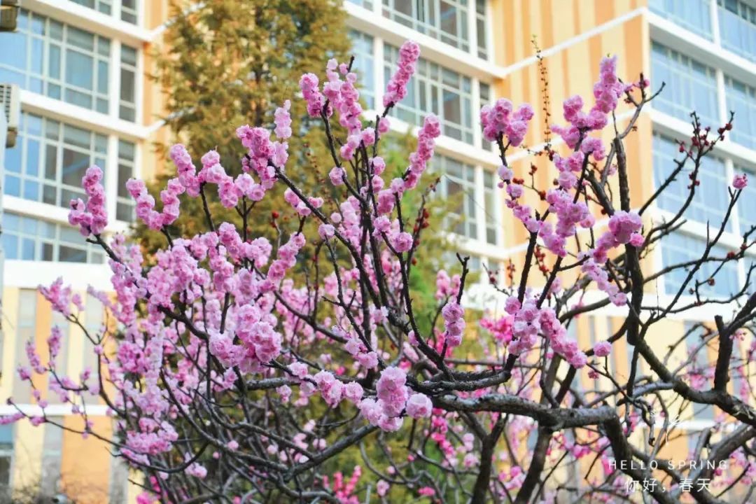 暂无图片