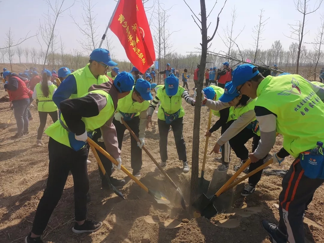 暂无图片
