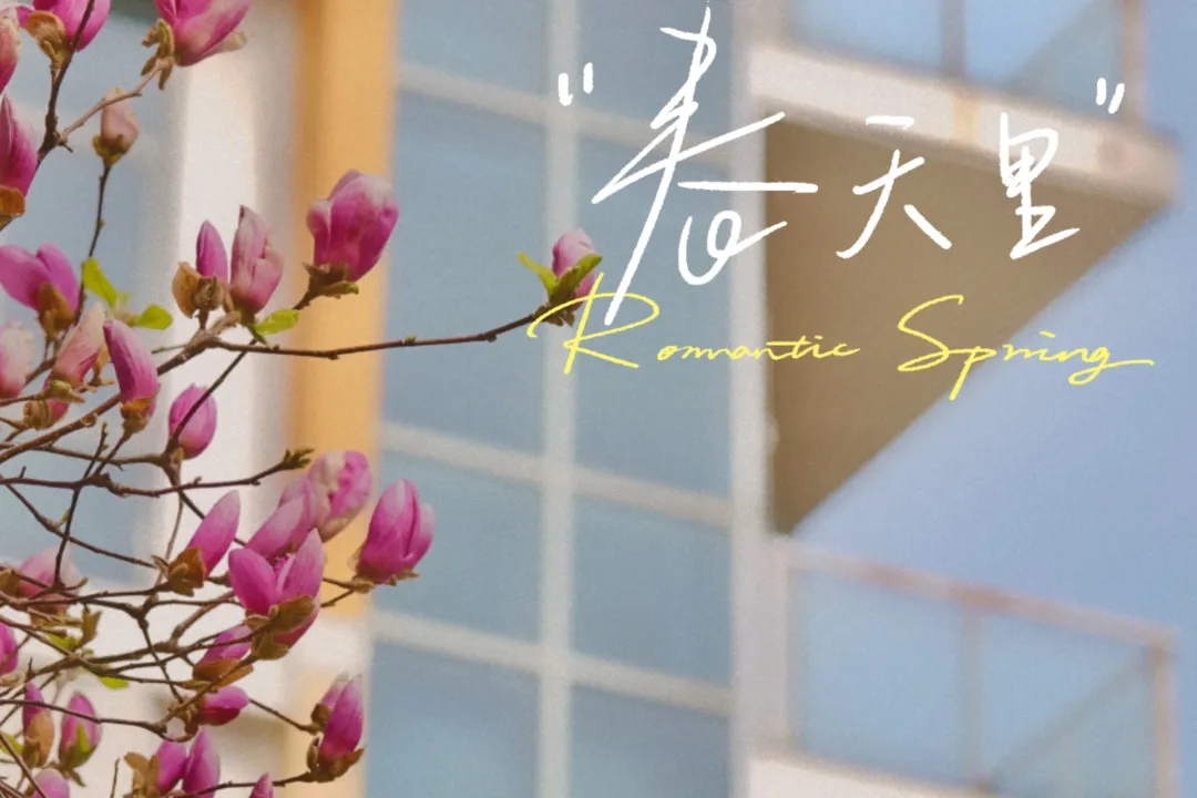 校园顶流图鉴｜这届春花，正在交职院C位出道